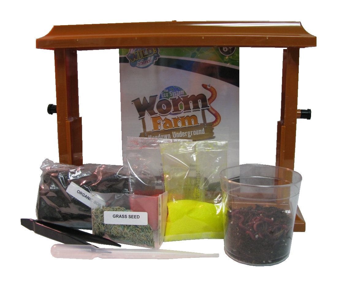 Observation Worm Farm Kit for Kids with FREE Worm Certificate. See