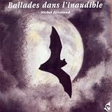 Inaudible World