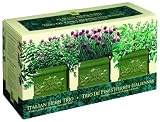 Garden at Home 42414 Italian Herb Trio