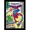 Marvel Masterworks: The Amazing Spider-Man - Volume 6