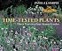 Time-Tested Plants: Thirty Years in a Four-Season Garden