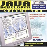 BYTESIZE SOFTWARE Java Developer Professional, Vol. 2 (Windows)