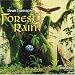 Forest Rain
