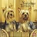 Yorkshire Terrier (Yorkie) 2010 12x12 Wall Calendar by Browntrout