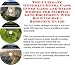 Search : The Ultimate Generate Extra Cash, Inner Game and Sales Models for Martial Arts Equipment Web Biz 3 Course + Resource Guide