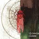 Cicada