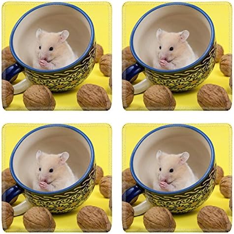 MSD Square Coasters Hamster in a colorful cup for tea IMAGE 19855478