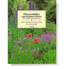 Pflanzenbilder aus meinen G�rten. �ber englische Gartengestaltung