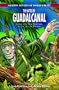 The Battle of Guadalcanal: Land and Sea Warfare in the South Pacific (Graphic Battles of World War II)