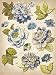 Blue Awning Grand Adhesions Embellishments-Flower