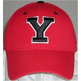 Youngstown State Penguins Adult  One-Fit Hat