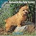 terrier49  - NorwichNorfolk Terrier 2010 Wall Calendar 1011510