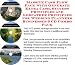 Book The Fantastic How To Earn Extra Money, Marketing and Success Principles for Wedding Planners On-line Businesses 3 CD Power Pack