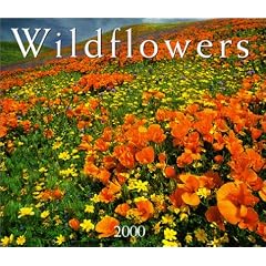 Wildflowers Calendar: 2000