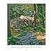 Mushroom Houses of Charlevoix by Mike Barton (2009) Hardcover
