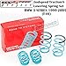Godspeed (LS-TS-BW-0006) Traction-S Lowering Spring Set For BMW 3-Series E46 RWD (DOES NOT FIT XI MODELS) gsp set kit