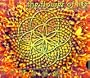 The Flower of Life [RARE]
