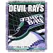 Tampa Bay Devil Rays 48