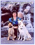 Canaan Dog Champions, 1997-2003