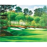 Golf Gifts and Gallery Augusta #13 Unframed Canvas Art by