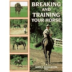 Breaking and Training Your Horse