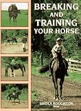 Breaking and Training Your Horse