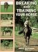 Breaking and Training Your Horse