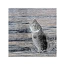 Havercamp Gone Fishin' w/ Lake Camp Design Birthday Party Beverage Napkins 16pk