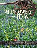 Wildflowers Across Texas