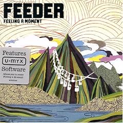 Feeling a Moment