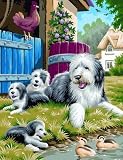 Eigenschaften Mammut A30CCJ5 / Hundefamilie - Malen nach Zahlen Classic-Collection
