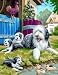Hundefamilie - Malen nach Zahlen Classic-Collection