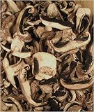 Portobello Mushrooms