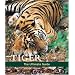 Tiger: The Ultimate Guide