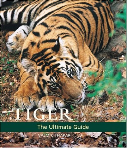 tiger the ultimate guide