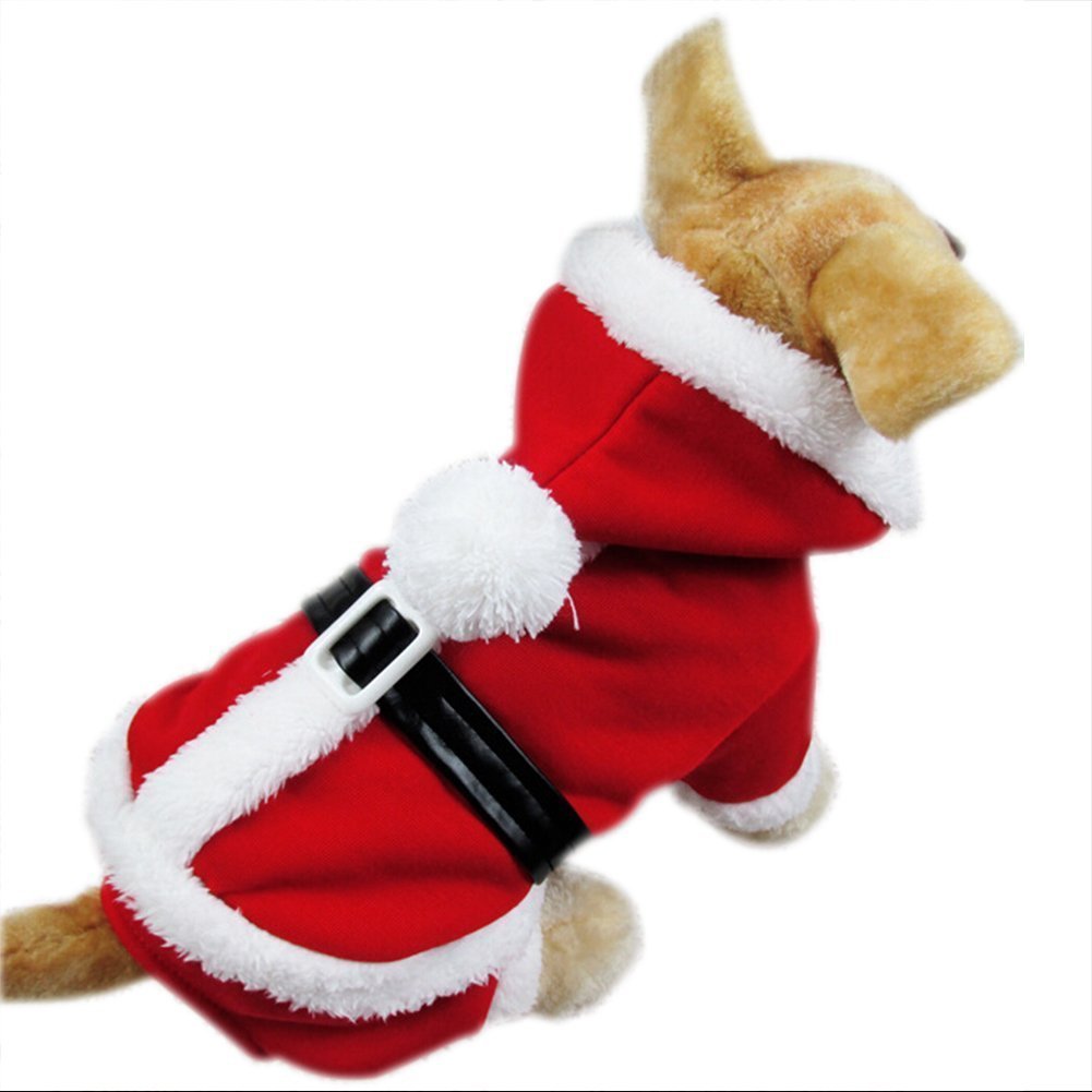 Dog Santa Costume