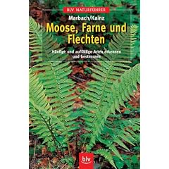 Moose, Farne und Flechten. Häufige und auffällige Arten erkennen und bestimmen (BLV-Naturführer) (Taschenbuch)