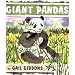 Giant Pandas