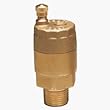 Watts Water Technologies 0950106-FV-4M1-1/8 Automatic Air Vent Valve