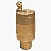 Watts Water Technologies 0950106-FV-4M1-1/8 Automatic Air Vent Valve