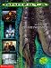 Deluxe Storybook (Godzilla)