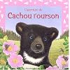 L'aventure de Cachou l'ourson