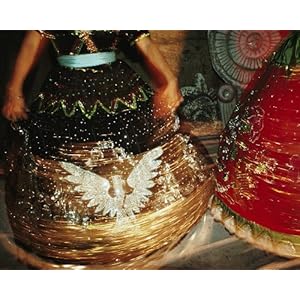 National Geographic Mexican Sequined Dresses 16 x 20 Poster Print