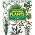 Aquarium Plants (Mini Encyclopedia Series for Aquarium Hobbyists)