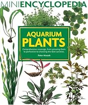 Aquarium Plants