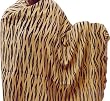 Shawls and Wraps Silk Wool Accessories 80 x 36 inches