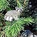 Miniature Fairy Garden Tiny Raccoons, Set of 3