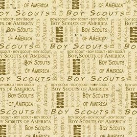 BOY SCOUTS OF USA PPR 25 pk by Alvin