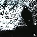 13 Japanese Birds, Vol. 4