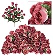 SIX pieces of 18" Long Stem Artificial Rose Bud Bushes Mauve